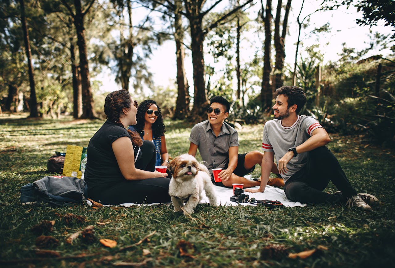 gallery-05 Friends having a fun picnic in the park with a Shih Tzu, enjoying a sunny day outdoors.